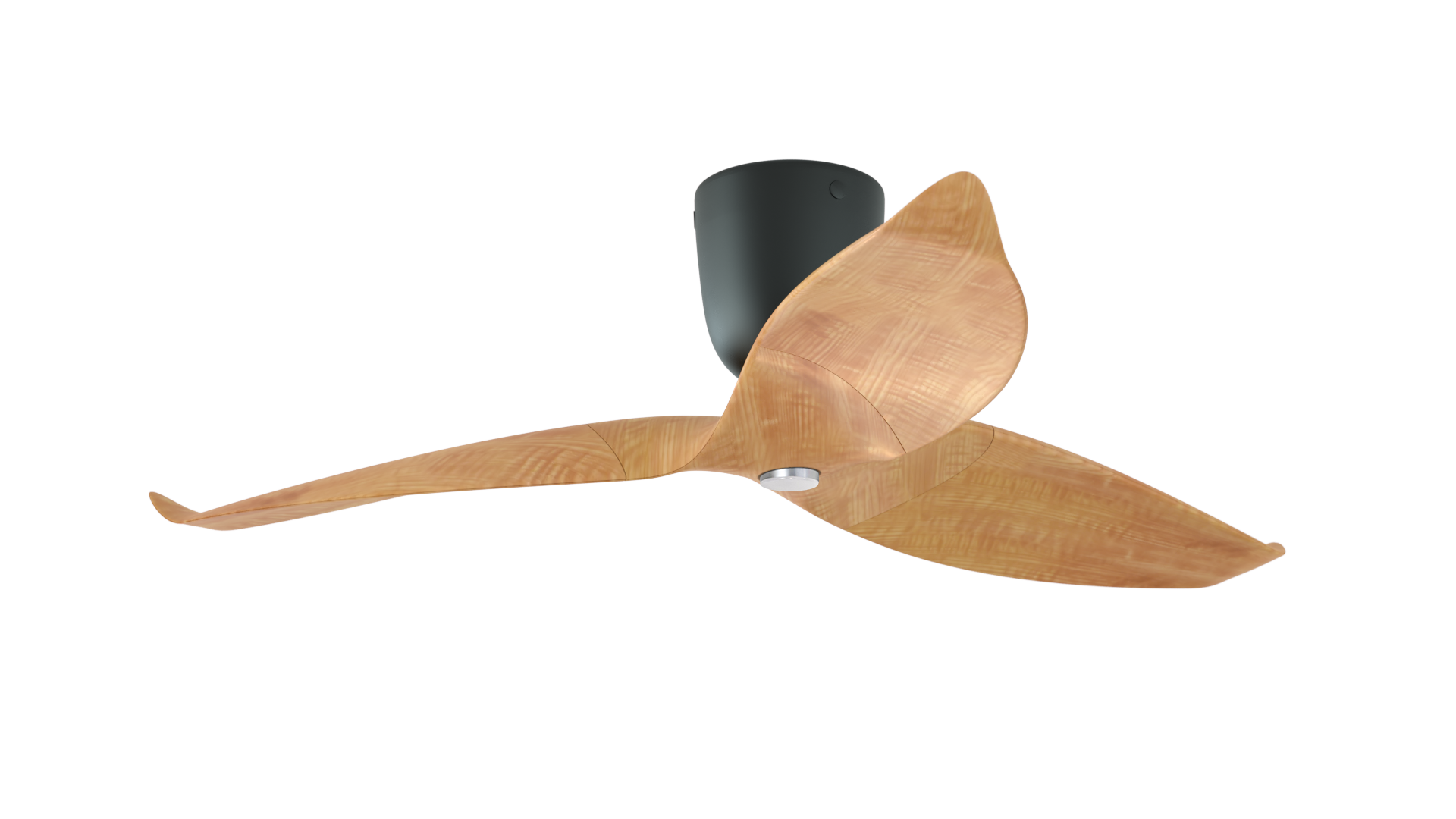 Aeratron AE+3 con luce effetto legno chiaro / nero